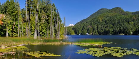 Lake near Egmont,Sunshine Coast,British Columbia